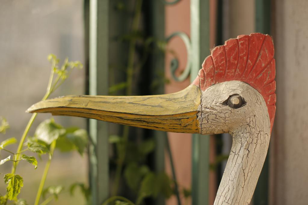 Bed & Breakfast Garden40 Belgrado Buitenkant foto